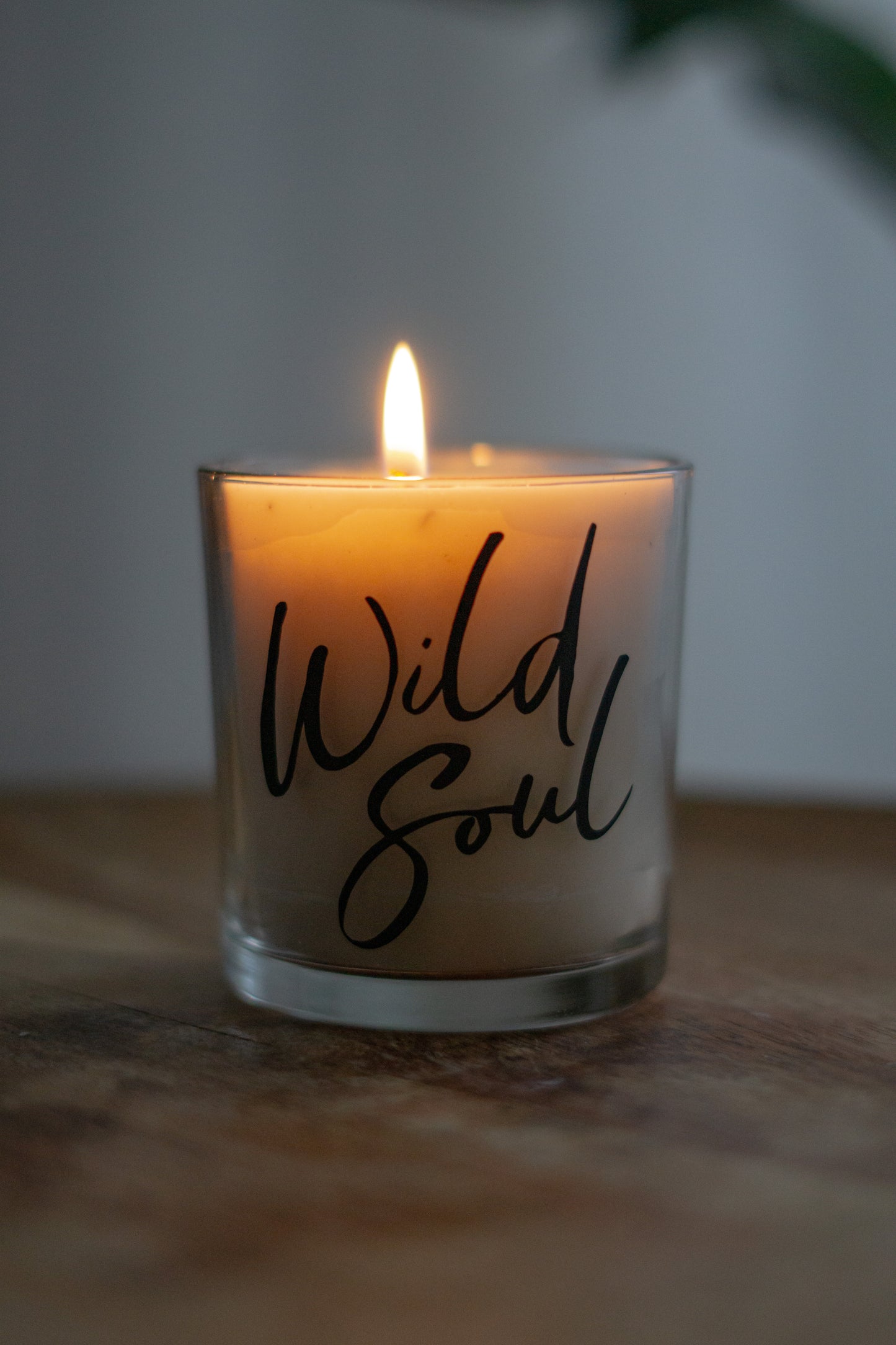 Freebie - Plotterdatei SVG - "Adventure is calling & Wild soul"