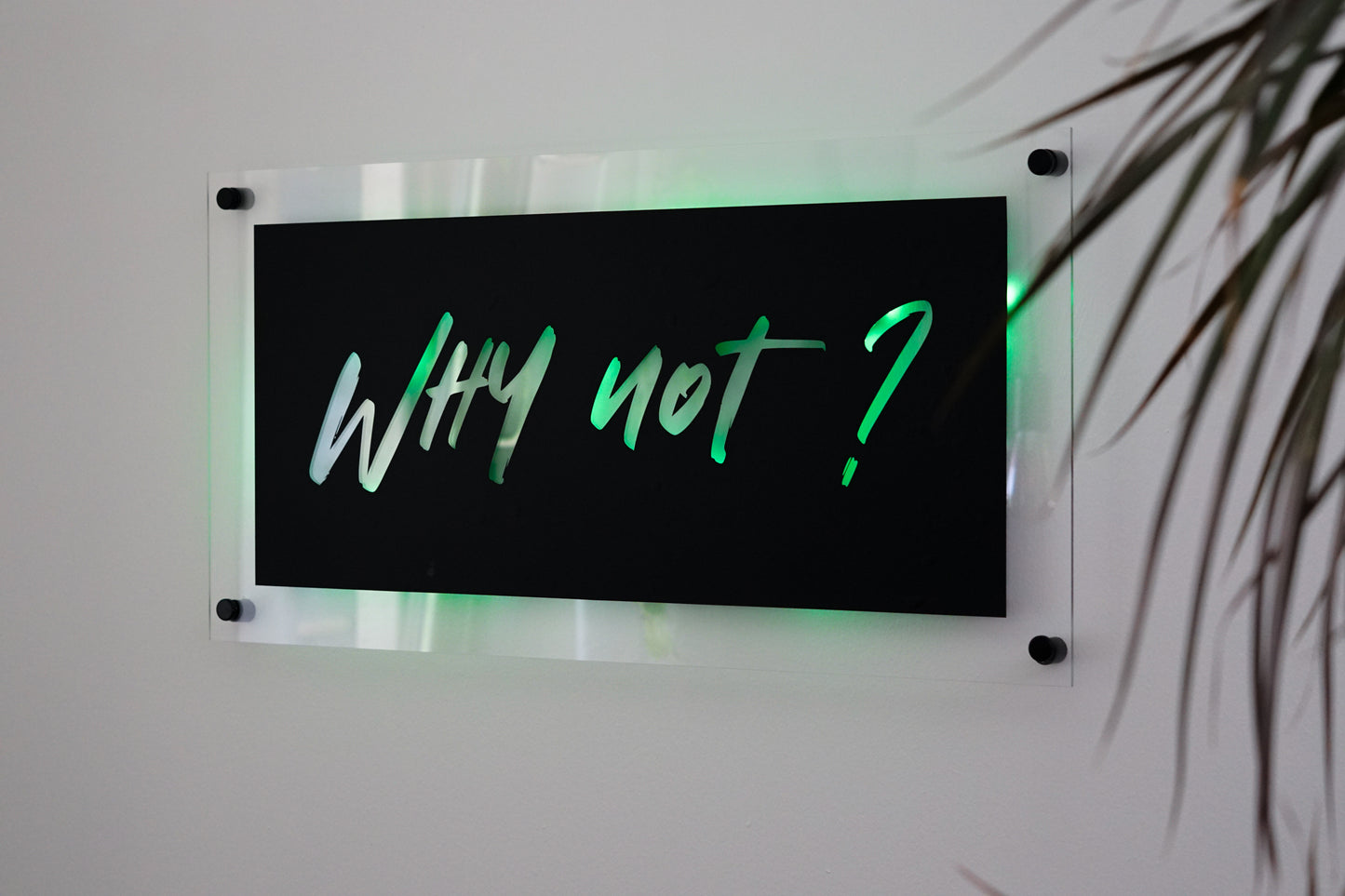 Freebie - Plotterdatei SVG - "why not?"