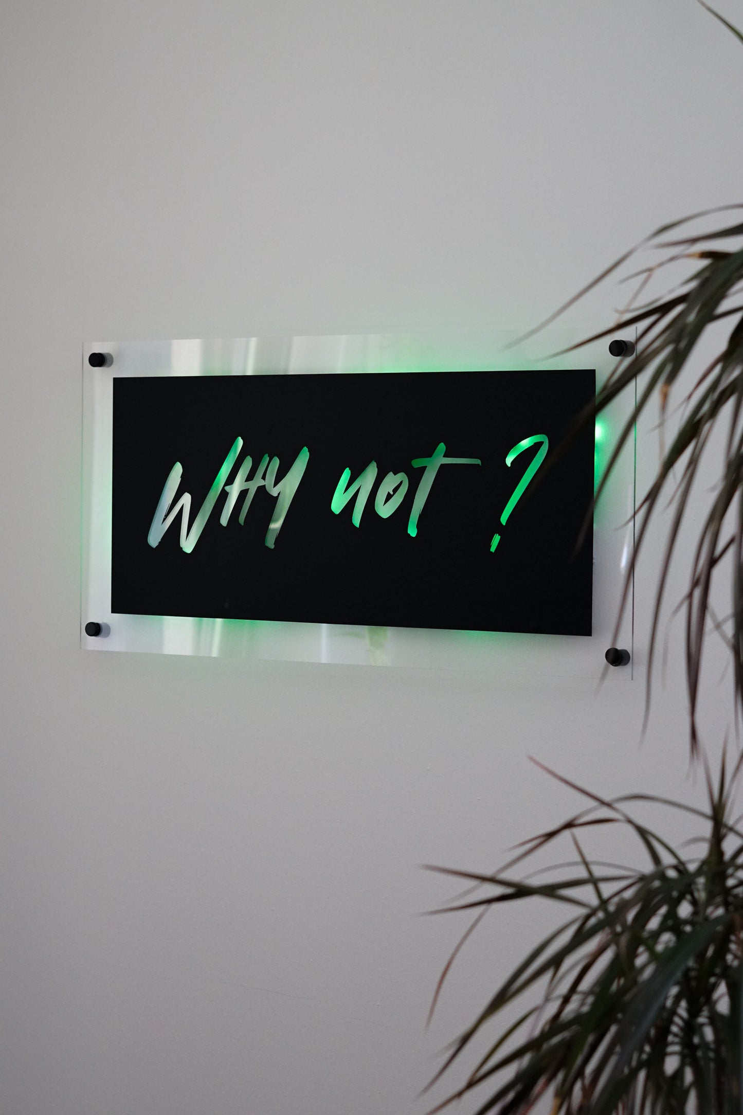 Freebie - Plotterdatei SVG - "why not?"